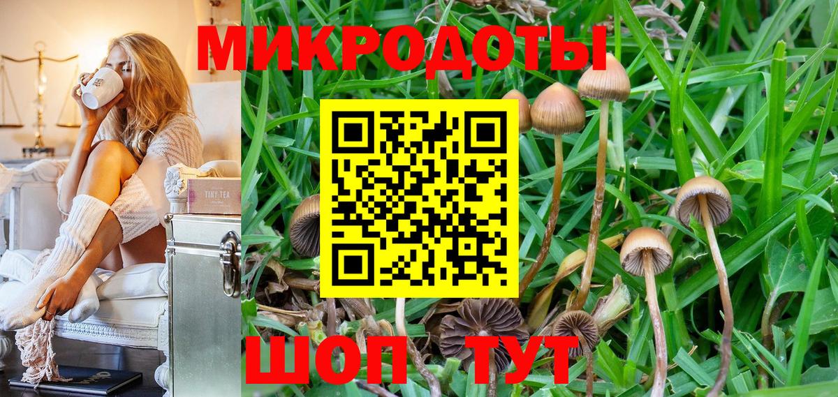 Тавда  Псилоцибиновые грибы Psilocybe  Вход с VPN 