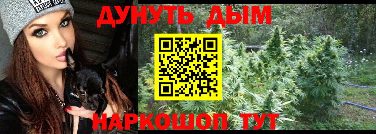 Бошки Шишки конопля  МАРИХУАНА ГИДРОПОН  Бошки Шишки план  Каннабис White Widow  Тавда  Вход с VPN 
